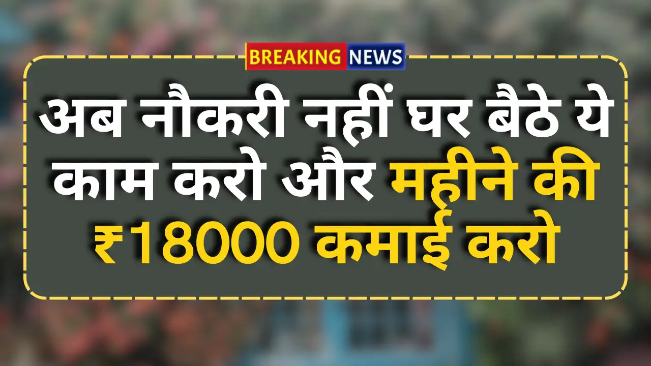 Customer Service Job