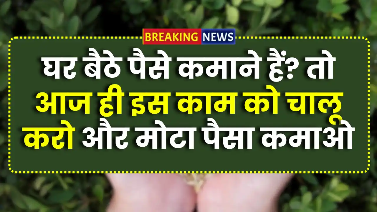 Graphic Designing Work