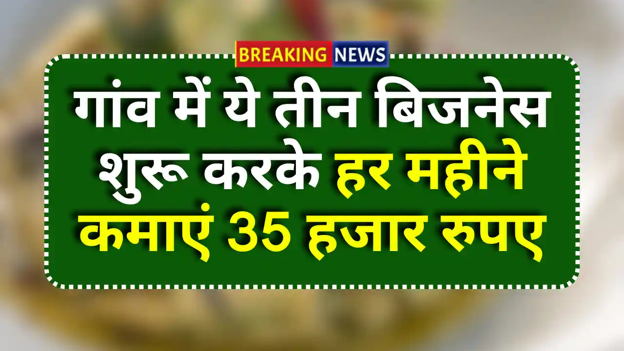 Top 3 Village Business Ideas